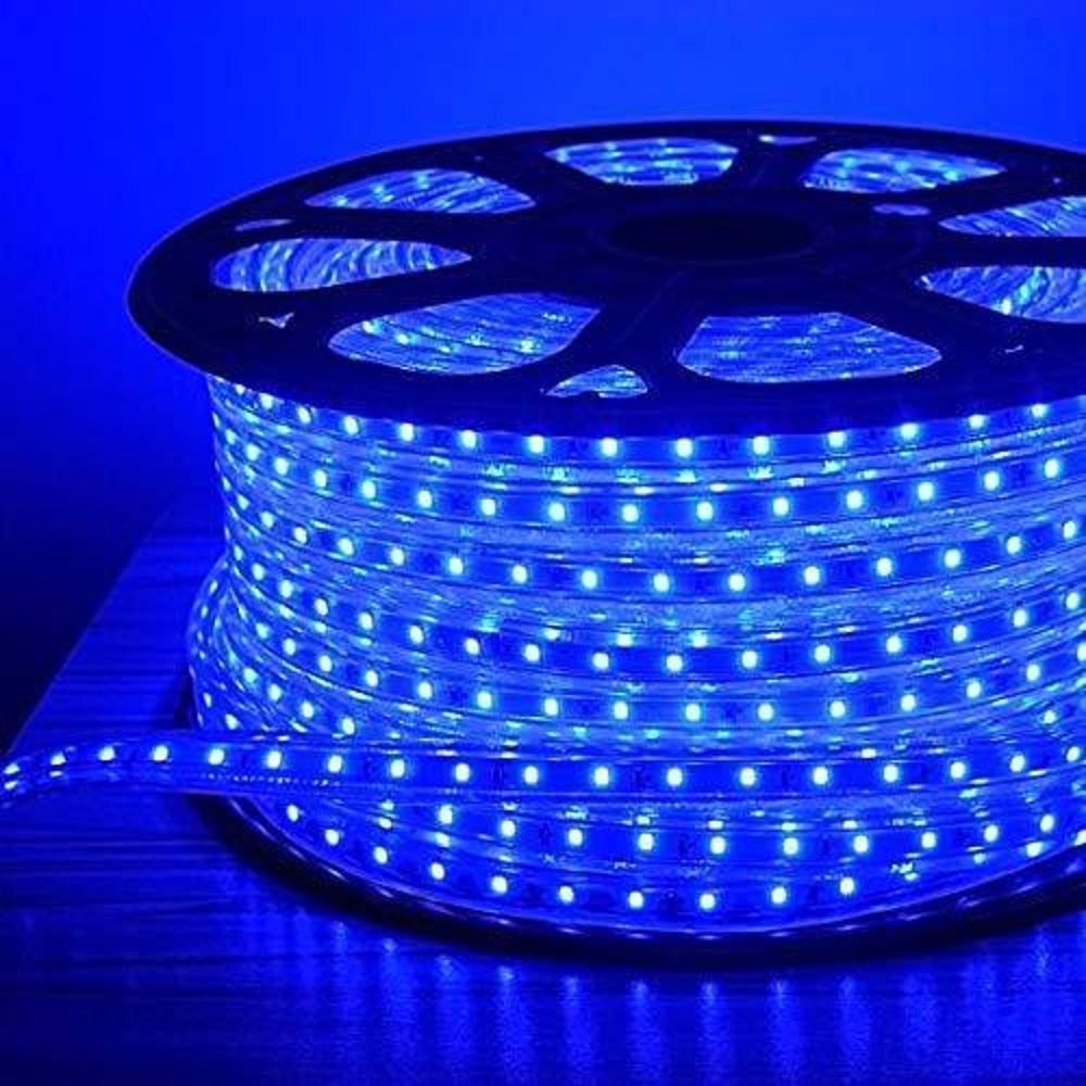 Blue Led Rope Light With Adapter
